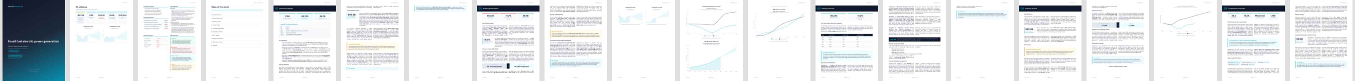 Fossil fuel electric power generation (NAICS 221112) — Standard market research report preview, 37 pages