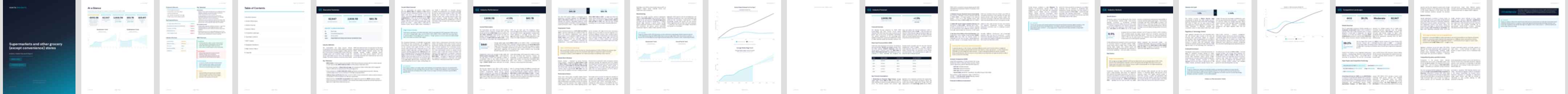Supermarkets and other grocery (except convenience) stores (NAICS 44511) — Standard market research report preview, 35 pages