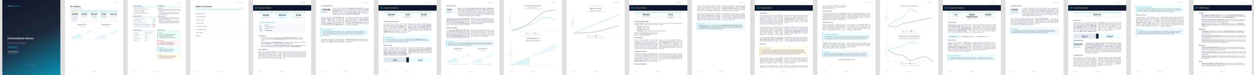 Convenience stores industry report preview Convenience stores (NAICS 44512) — Basic market research report preview, 23 pages
