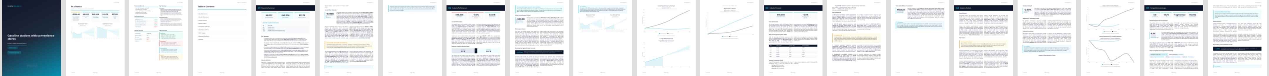 Gasoline stations with convenience stores (NAICS 44711) — Standard market research report preview, 33 pages