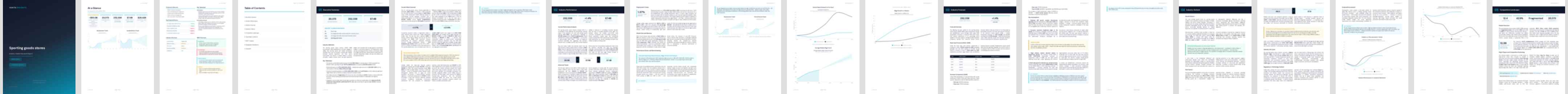 Sporting goods stores (NAICS 45111) — Standard market research report preview, 33 pages