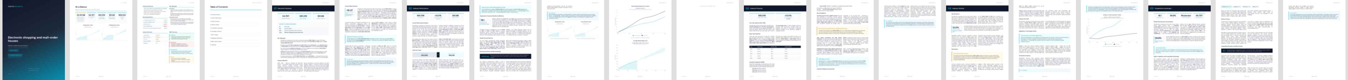 Electronic shopping and mail-order houses (NAICS 45411) — Standard market research report preview, 35 pages