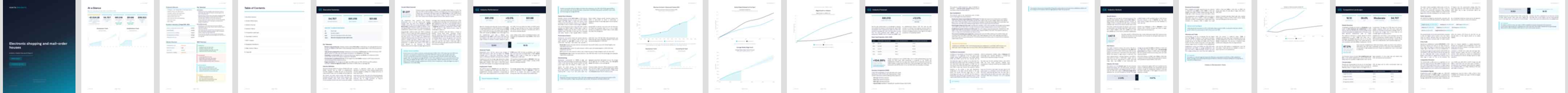 Electronic shopping and mail-order houses industry report preview Electronic shopping and mail-order houses (NAICS 45411) — Standard market research report preview, 33 pages