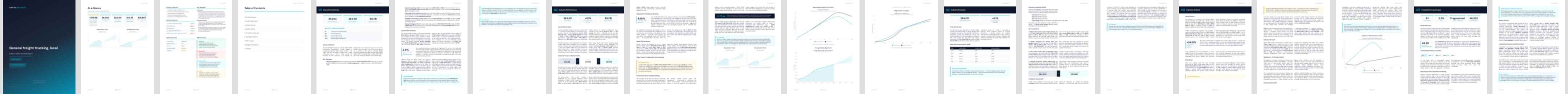 General freight trucking, local (NAICS 48411) — Standard market research report preview, 31 pages