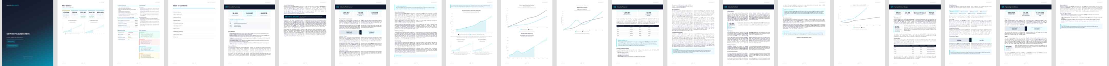 Software publishers industry report preview Software publishers (NAICS 51121) — Standard market research report preview, 31 pages