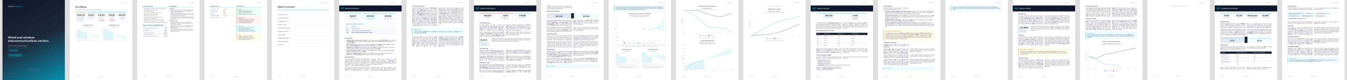 Wired and wireless telecommunications carriers industry report preview Wired and wireless telecommunications carriers (NAICS 51731) — Standard market research report preview, 33 pages