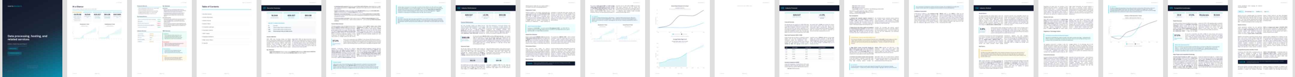 Data processing, hosting, and related services (NAICS 51821) — Standard market research report preview, 37 pages