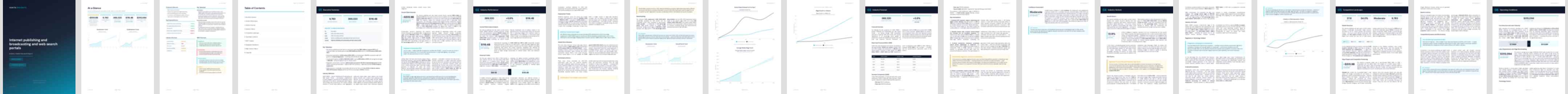 Internet publishing and broadcasting and web search portals (NAICS 519130) — Standard market research report preview, 35 pages