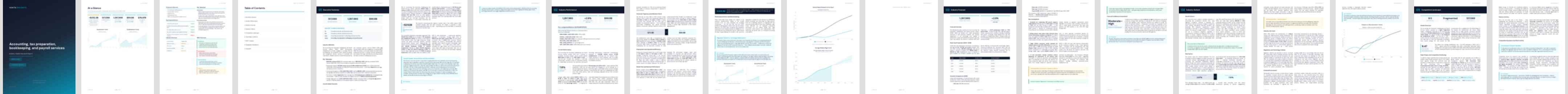 Accounting, tax preparation, bookkeeping, and payroll services (NAICS 54121) — Standard market research report preview, 31 pages