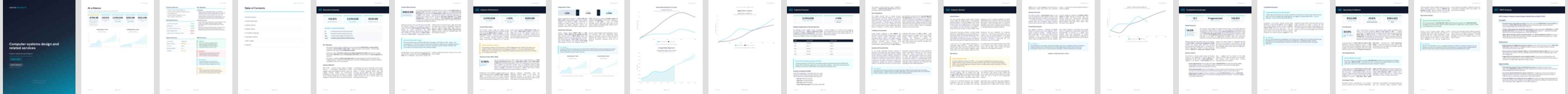 Computer systems design and related services (NAICS 54151) — Basic market research report preview, 24 pages