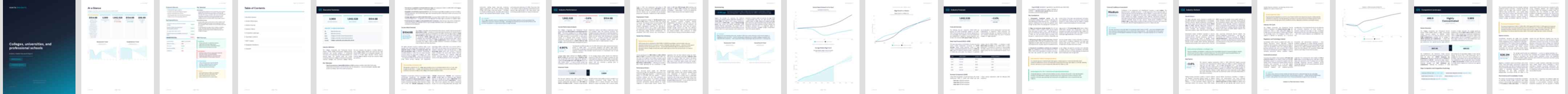Colleges, universities, and professional schools (NAICS 611310) — Standard market research report preview, 32 pages