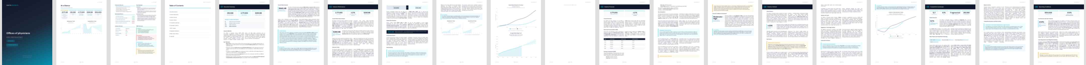 Offices of physicians (NAICS 62111) — Standard market research report preview, 34 pages