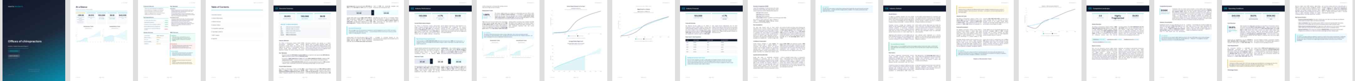 Offices of chiropractors (NAICS 621310) — Basic market research report preview, 25 pages