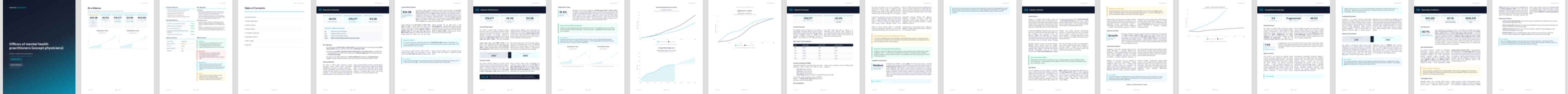 Offices of mental health practitioners (except physicians) (NAICS 62133) — Basic market research report preview, 25 pages