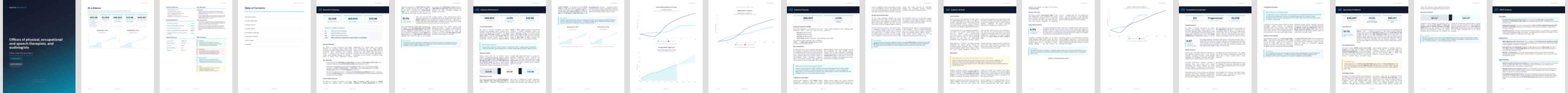 Offices of physical, occupational and speech therapists, and audiologists (NAICS 62134) — Basic market research report preview, 24 pages