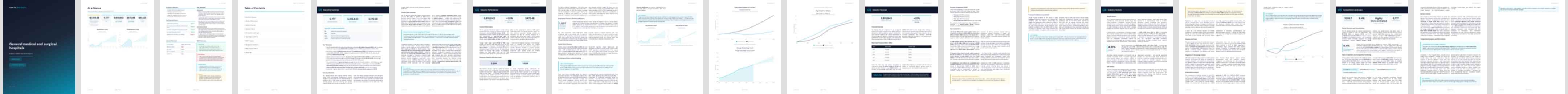 General medical and surgical hospitals industry report preview General medical and surgical hospitals (NAICS 62211) — Standard market research report preview, 37 pages