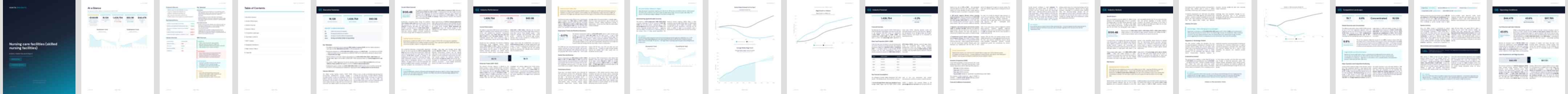 Nursing care facilities (skilled nursing facilities) industry report preview Nursing care facilities (skilled nursing facilities) (NAICS 62311) — Standard market research report preview, 36 pages