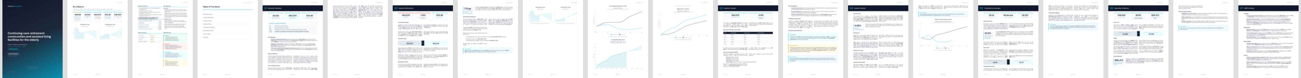 Continuing care retirement communities and assisted living facilities for the elderly (NAICS 62331) — Basic market research report preview, 24 pages