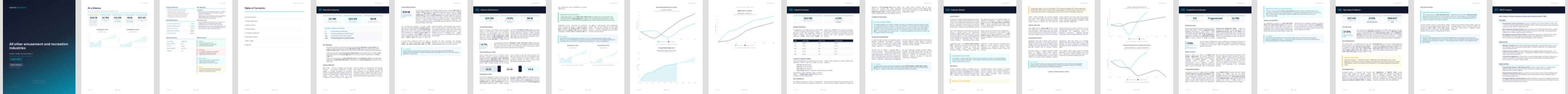 All other amusement and recreation industries (NAICS 71399) — Basic market research report preview, 24 pages