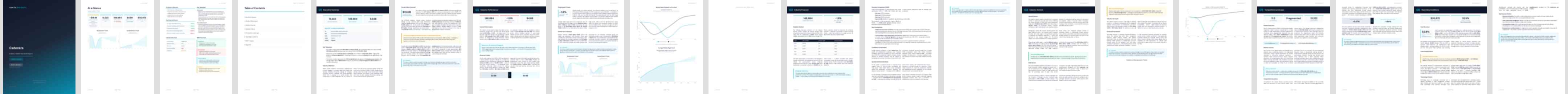 Caterers (NAICS 722320) — Basic market research report preview, 24 pages