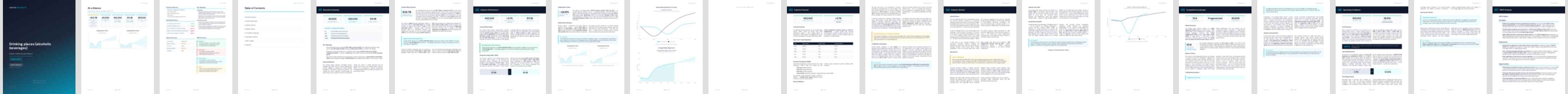 Drinking places (alcoholic beverages) (NAICS 72241) — Basic market research report preview, 23 pages