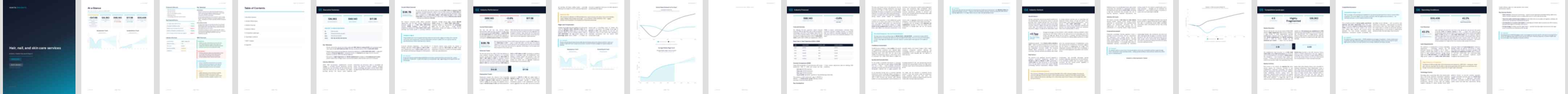 Hair, nail, and skin care services (NAICS 81211) — Basic market research report preview, 24 pages