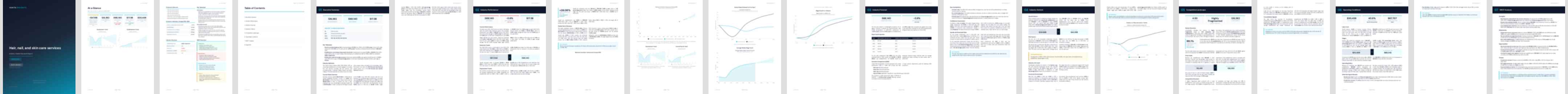 Hair, nail, and skin care services (NAICS 81211) — Basic market research report preview, 23 pages