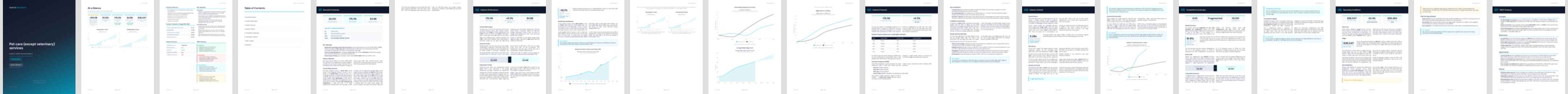 Pet care (except veterinary) services industry report preview Pet care (except veterinary) services (NAICS 81291) — Basic market research report preview, 24 pages